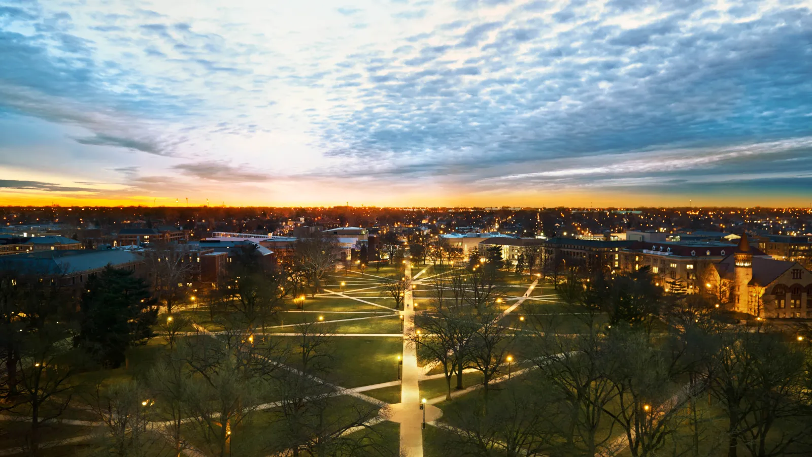 The Oval at sunset