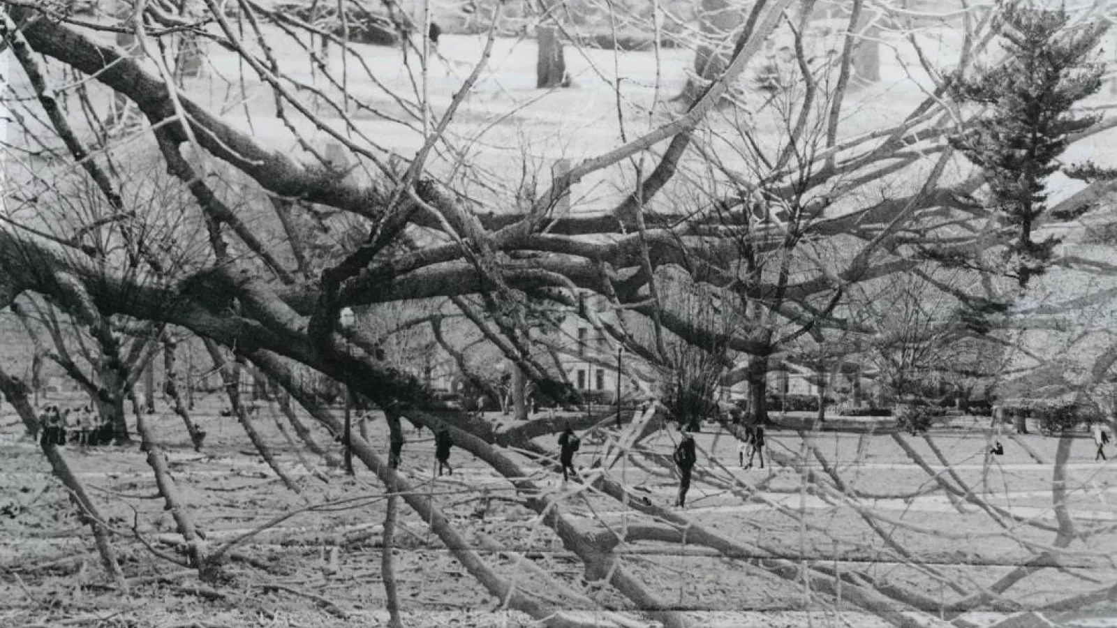 black and white image from the Oval 