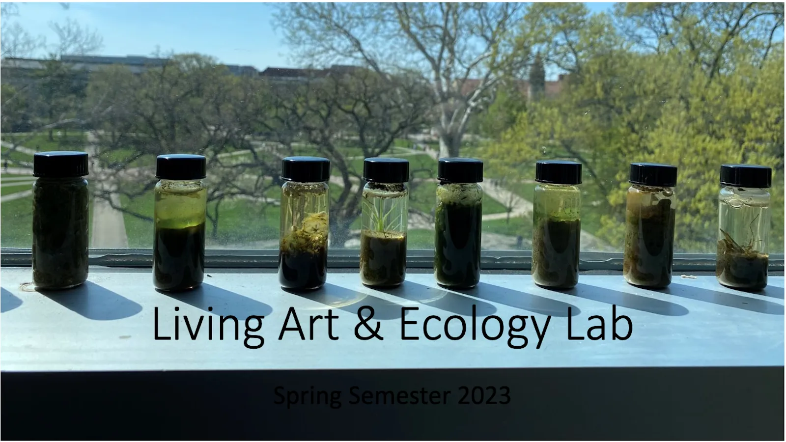 Plants and living organisms growing in vials