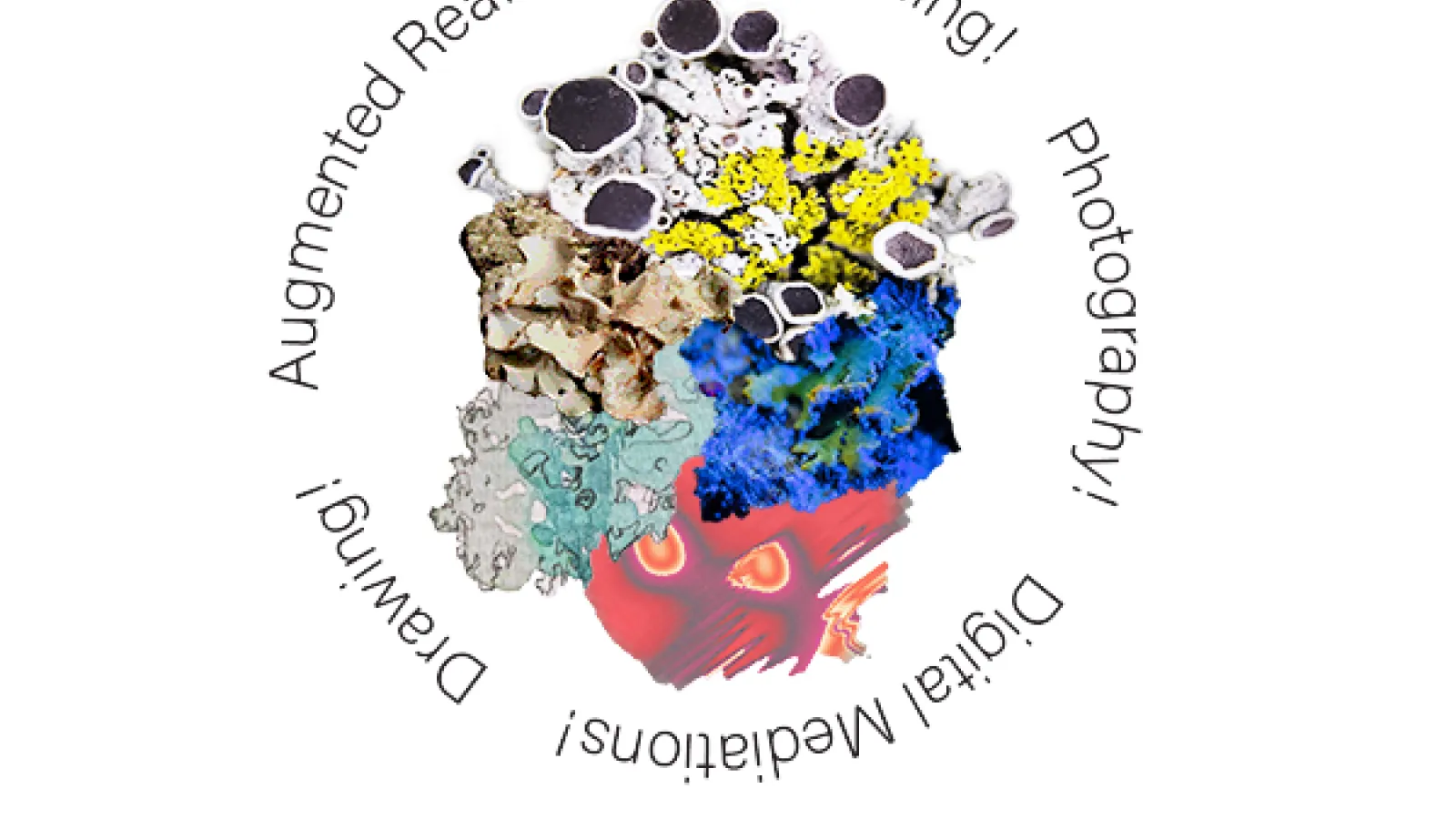 Lichen Likers Logo stating: Augmented Reality, Storytelling, Photography, Drawing