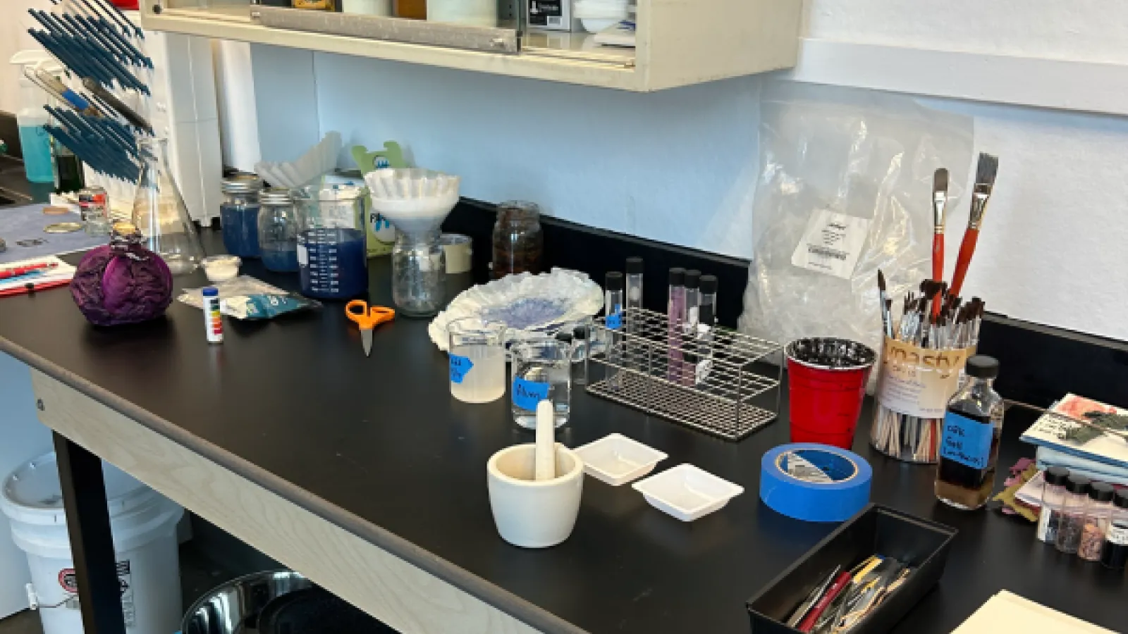 A lab bench with the components to make paint, including a whole head of purple cabbage, beakers and jars full of blue paint liquid, a base and acid solution with pH test strips, paintbrushes, and coffee filters. The table's surface is black; in the background on the lefthand side is a glassware drying rack. Above the table is a beige lab cabinet with various bottles of reagents inside.
