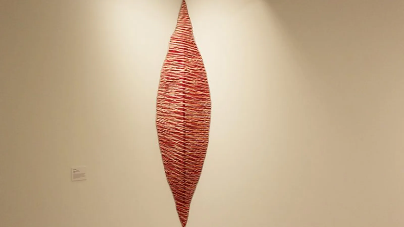 Delicate Revolution - Teri Bailey