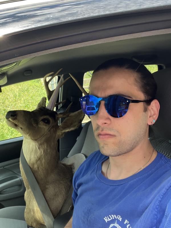 a  person in a car with sunglasses sitting next to a deer head.