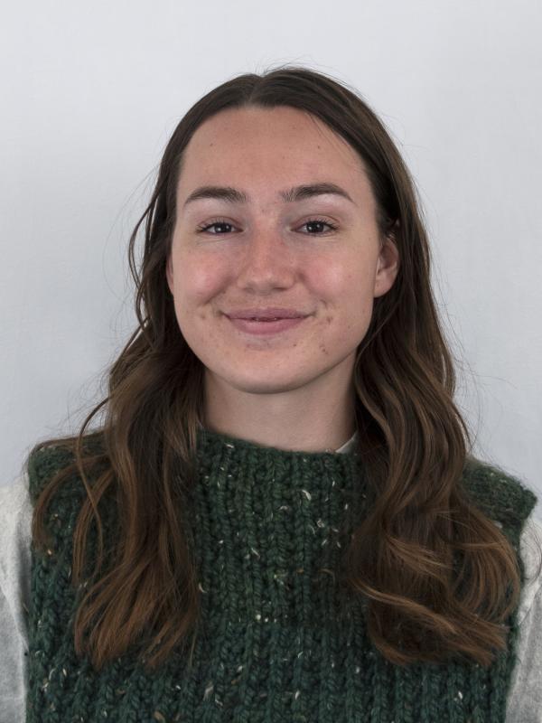 a person with long brown hair 