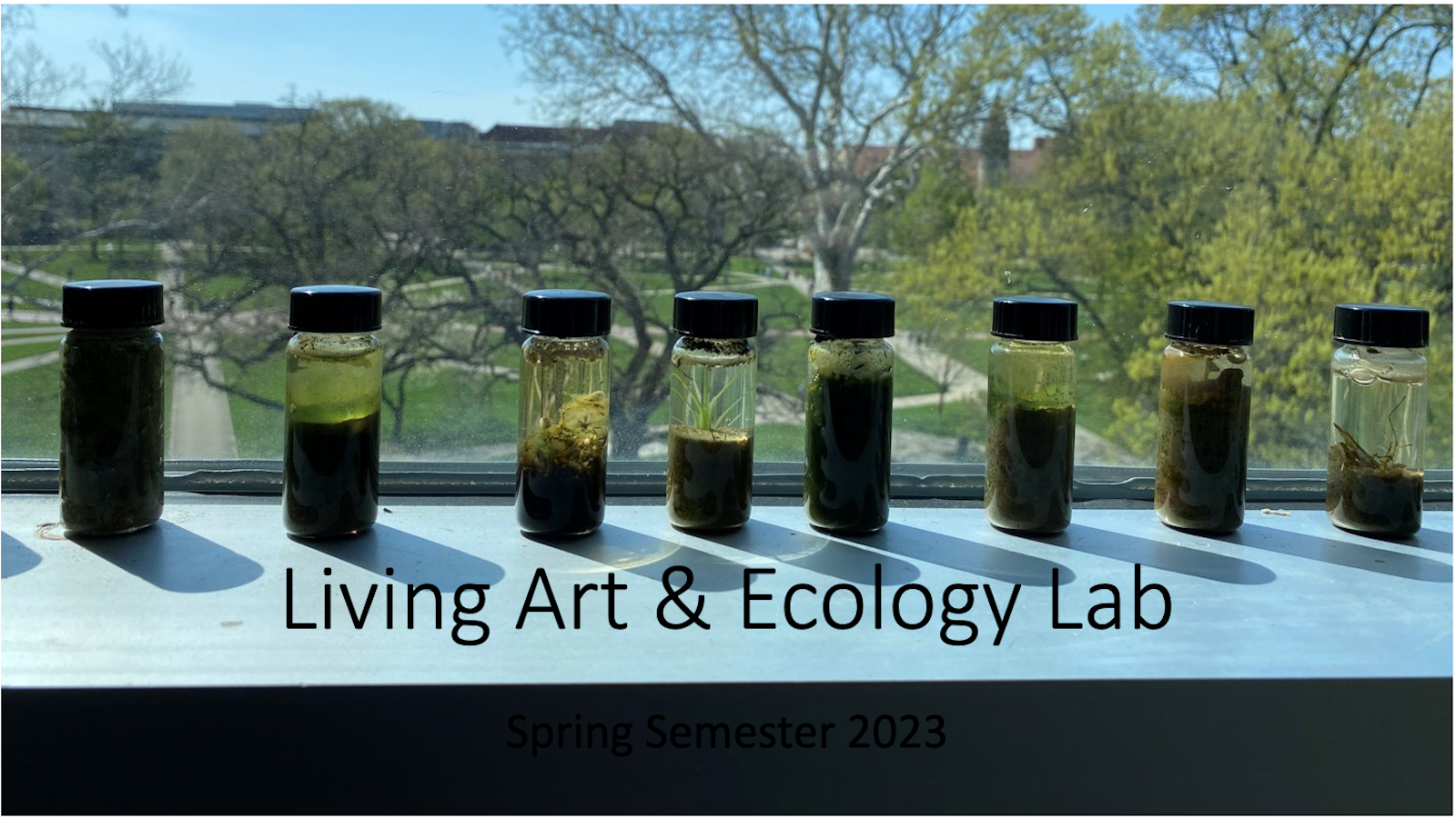 Plants and living organisms growing in vials